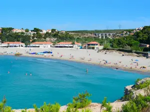 Beach of Carro
