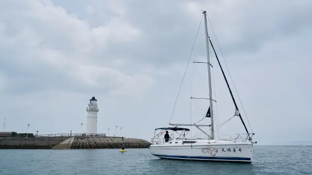 青島帆船運動