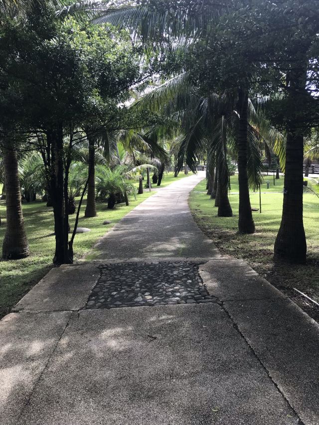 Xiachuan Island Wangfuzhou Tourist Area