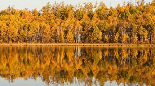 Shanghu Lake Scenic Area