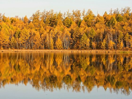 Shanghu Lake Scenic Area