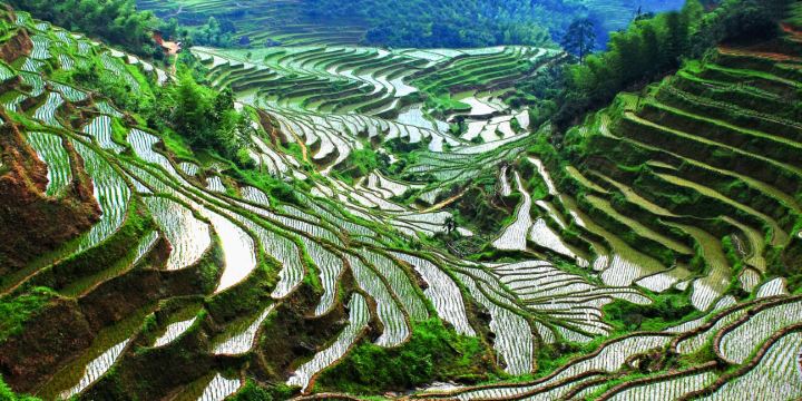 Taoyuan Terraces