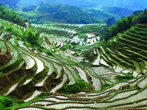 Taoyuan Terraces