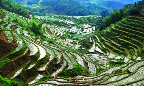 Taoyuan Terraces