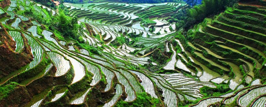 Taoyuan Terraces