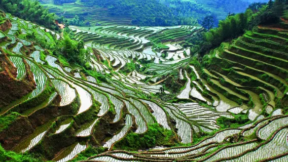 玩水避暑