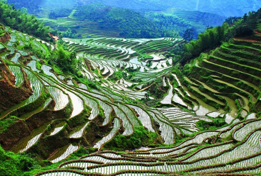 Taoyuan Terraces