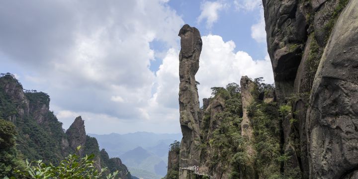 Giant Python Emerging from the Mountain