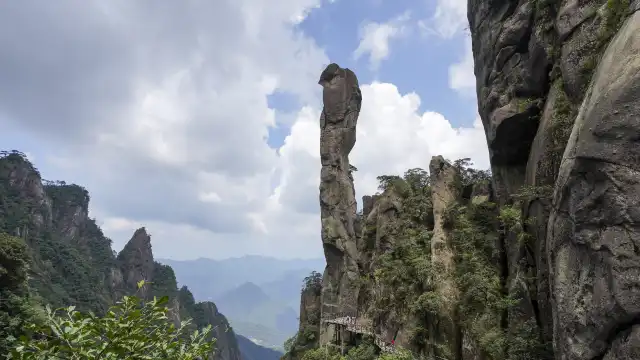 โรงแรมใกล้งูเหลือมใหญ่ออกจากภูเขา