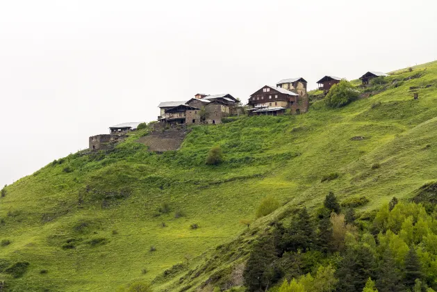 Pingyang Homestays