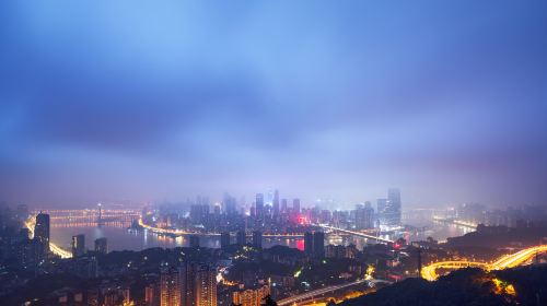 Nanshan Tree Viewing Platform