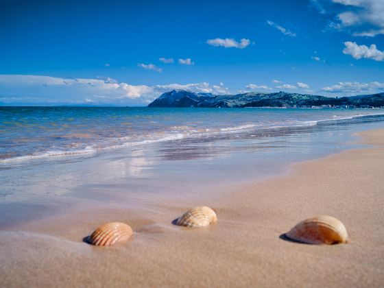 Bentota Beach