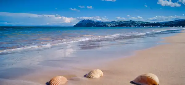 Hotels in Bentota