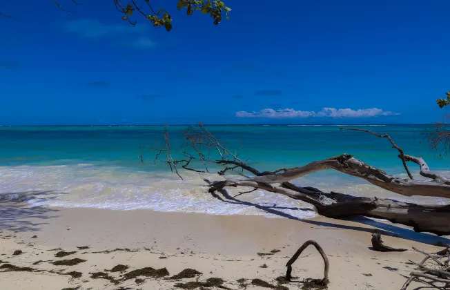 Отели с услугой Трансфер в/из аэропорта в г. Тавау