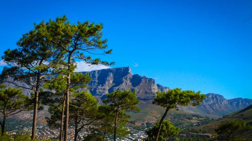 Signal Hill