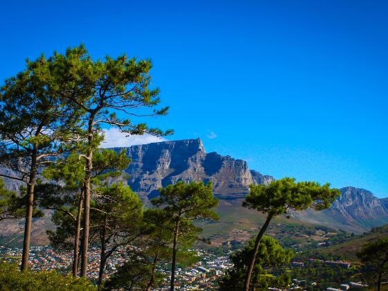 Signal Hill