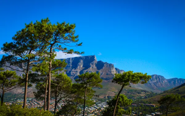 United Airlines to Cape Town