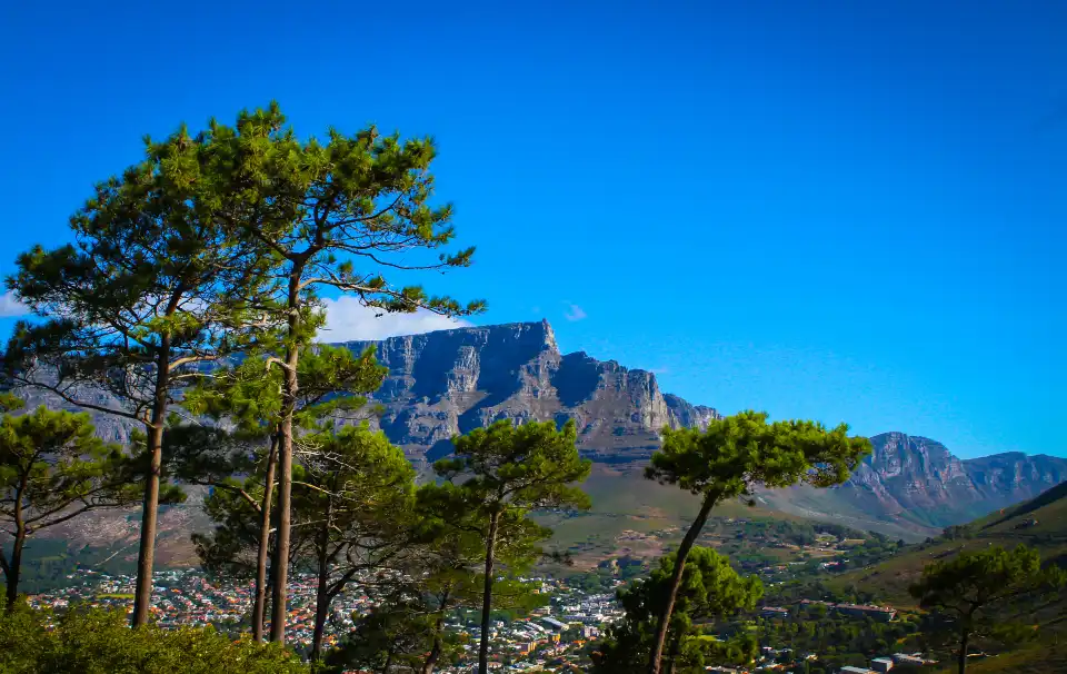 4_Signal Hill