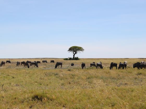 Serengeti National Park