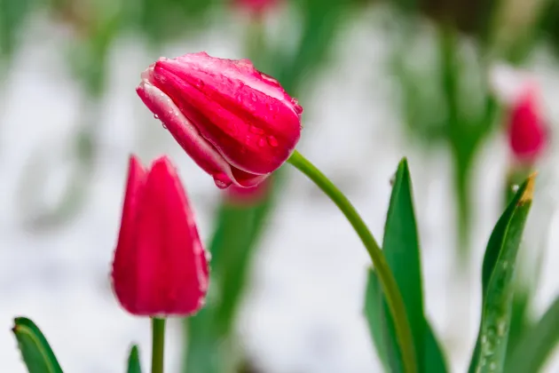 Отели с услугой Интернет в г. Яманакако