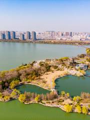 銀河公園