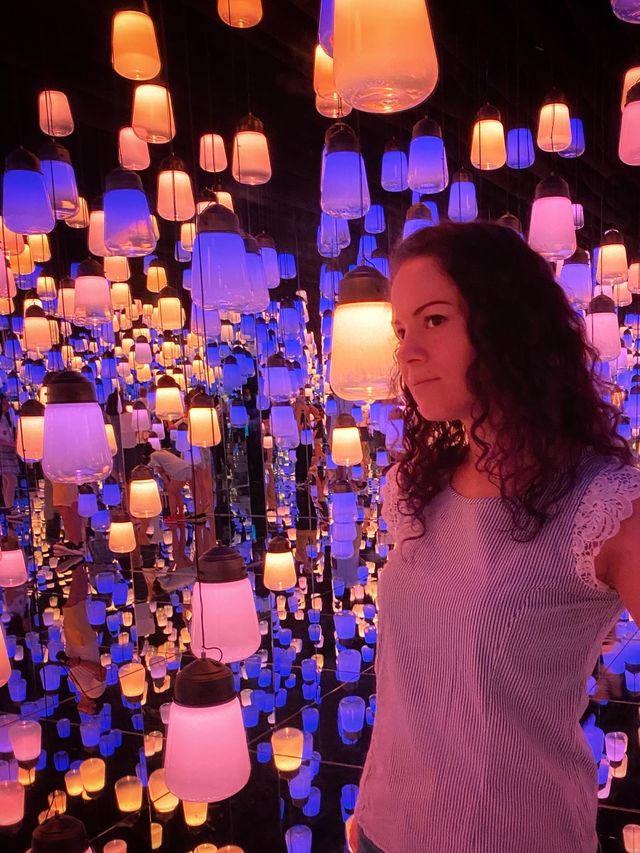 TeamLab Borderless- Transcending Artwork