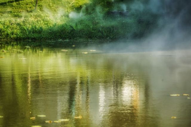 Tinglin Park