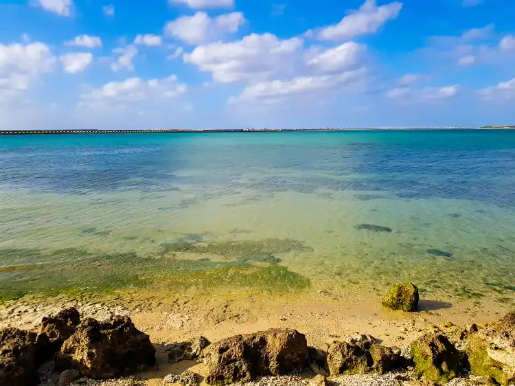世界自然遺産の森を巡る やんばる電気バス 乗車場所周辺のホテル