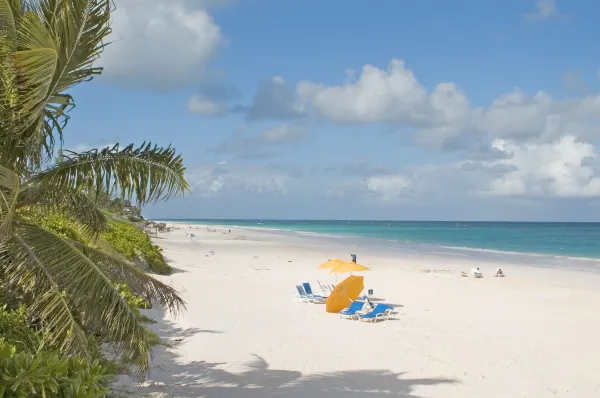 Silver Airways Flights to Marsh Harbour