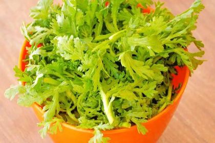 泸沽缘