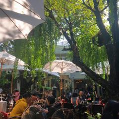 Fern Forest Café 여행 사진