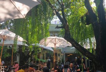 Fern Forest Café User Photo
