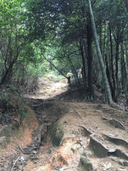 龍山村