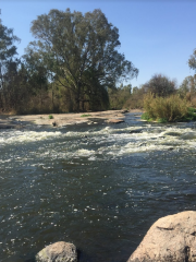 Vaal River Adventures