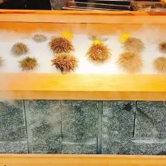 胆道·海胆专门店(凯德晶萃店) User Photo