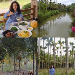 XINGLONG CHARACTERISTIC LEISURE FARM User Photo