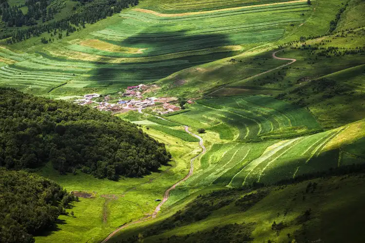 Hotels in Guyuan County