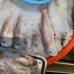 石塘人家(温岭店) User Photo