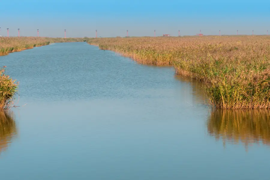 Reed Maze, Scenic Spot in Red Beach National Scenic Corridor