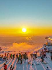 新疆阿勒泰将軍山滑雪場