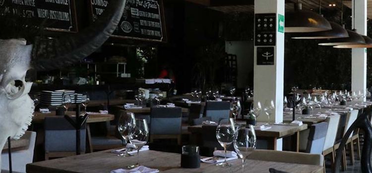 Sonora Prime – Metepec