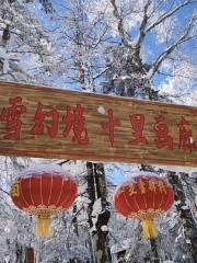 雪鄉十裡冰雪畫廊