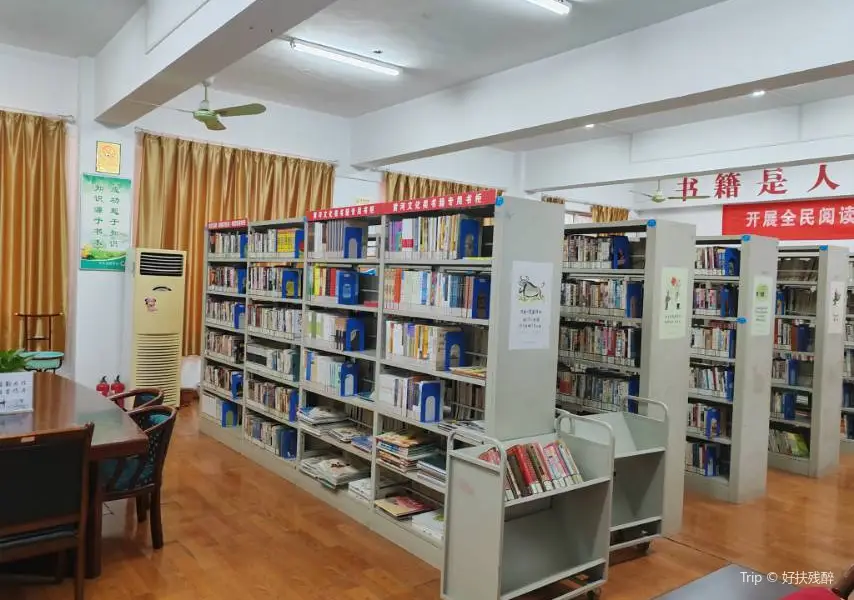 Baofengxian Library