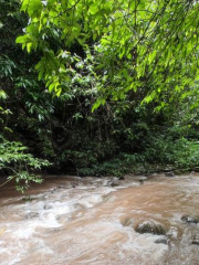 納卡村雨林徒步