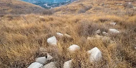 上峪火山口