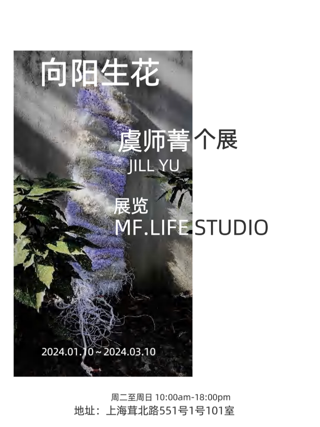 【上海】MF.LIFE ｜向陽生花---藝術家虞師菁JILL YU 個展 | 上海