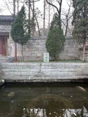 Free Life Pond, Huayan Tourist Area