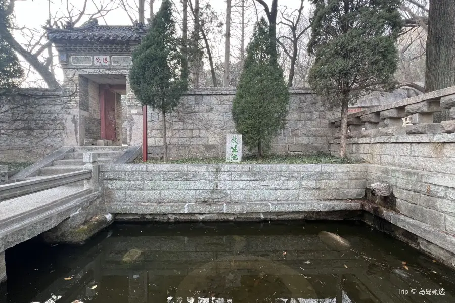 Free Life Pond, Huayan Tourist Area