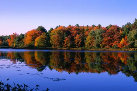 Walden Pond State Reservation