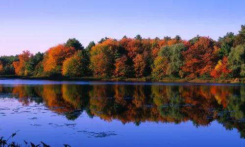 Walden Pond State Reservation